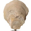 Oyster Shell Sculptures Set/2, Figurines & Statue by Uttermost, 5.25" width x 15.25" height x 3.12" depth thumbnail 6