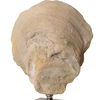 Oyster Shell Sculptures Set/2 5 Oyster Shell Sculptures Set/2 thumbnail 5