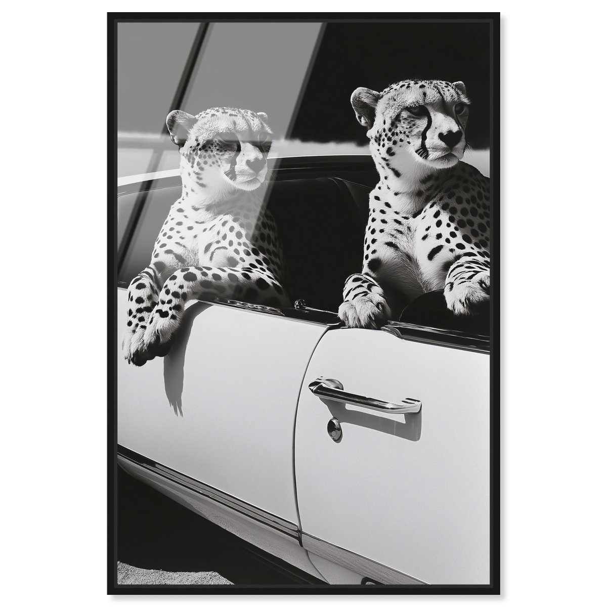 Convertible Feline II (No Embellishment), by Oliver Gal,  20x30 View 1