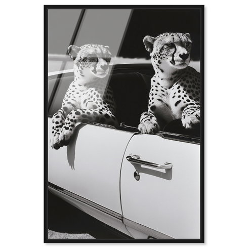 Convertible Feline II (No Embellishment)