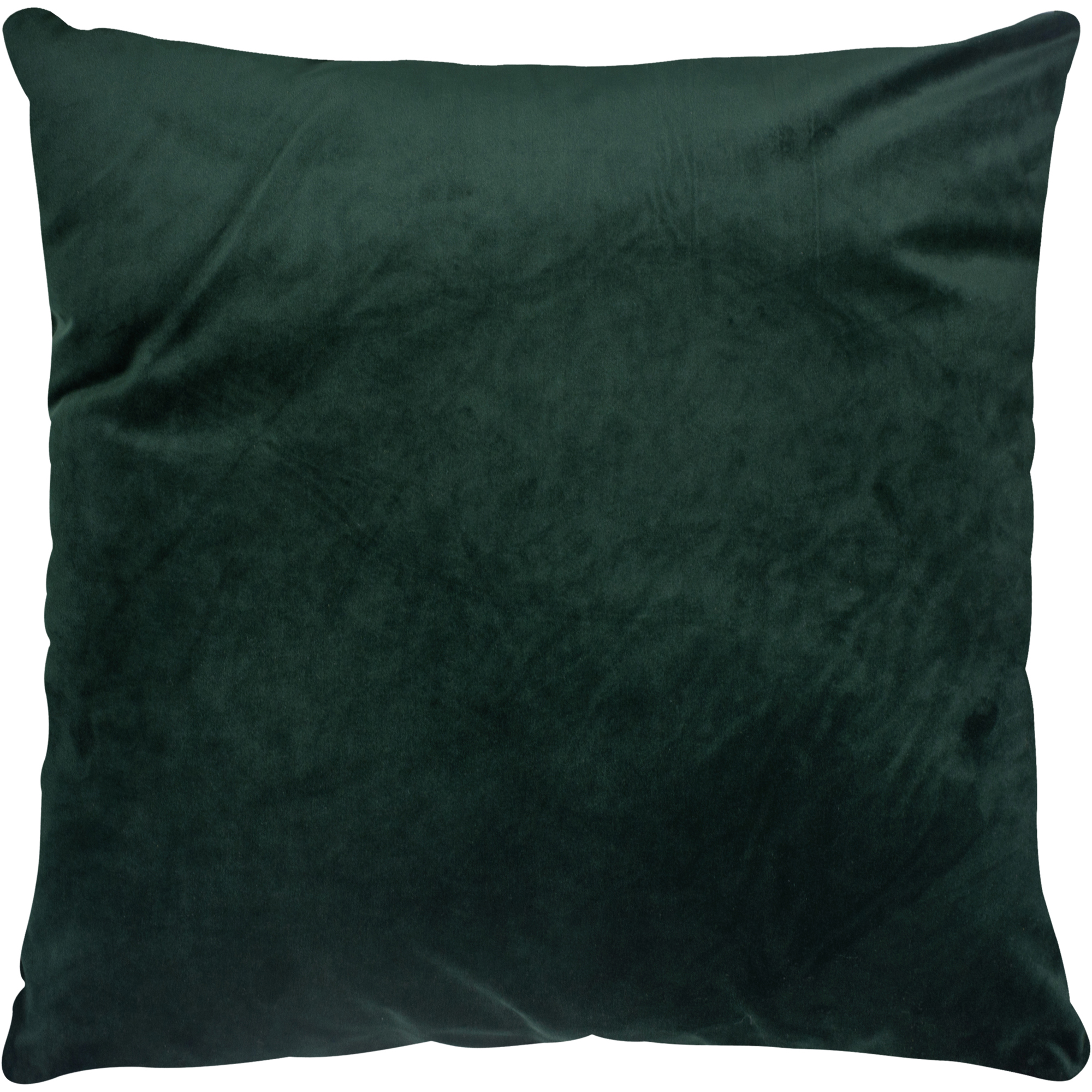 Olive Indoor Pillow thumbnail 0