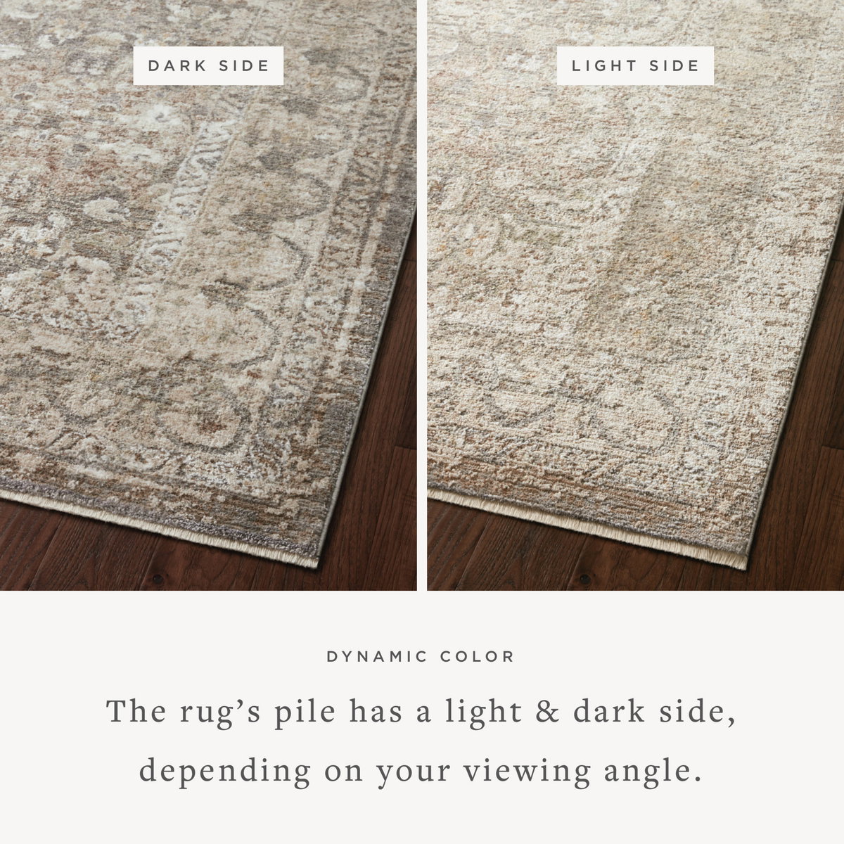 Loloi Sonnet Rug, 3'7" length x 5'7" width View 2