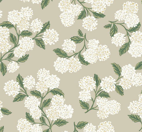 Hydrangea Beige Wallpaper