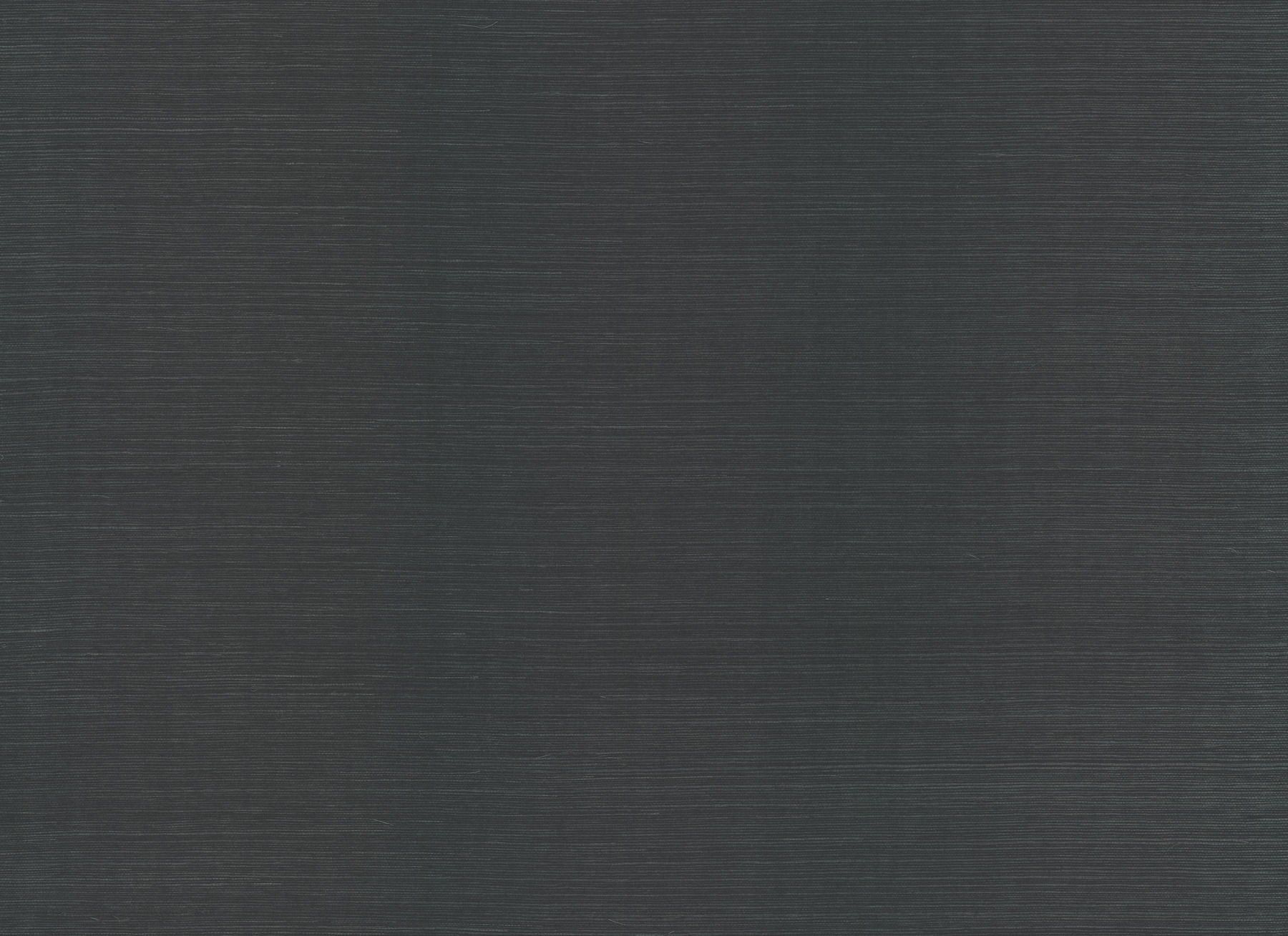 Palette Hunter Green Wallpaper, by York Wall, 24' length x 3' width x 0.02" depth View 1