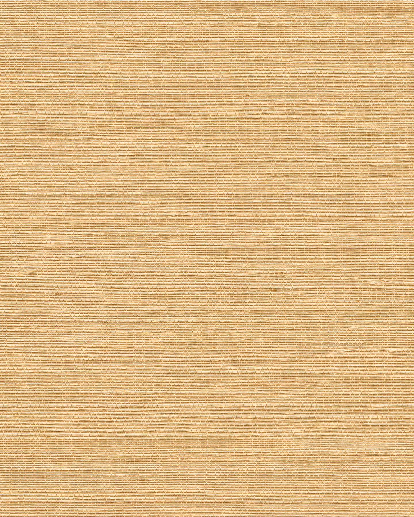 Maguey Sisal Sand Wallpaper large image 