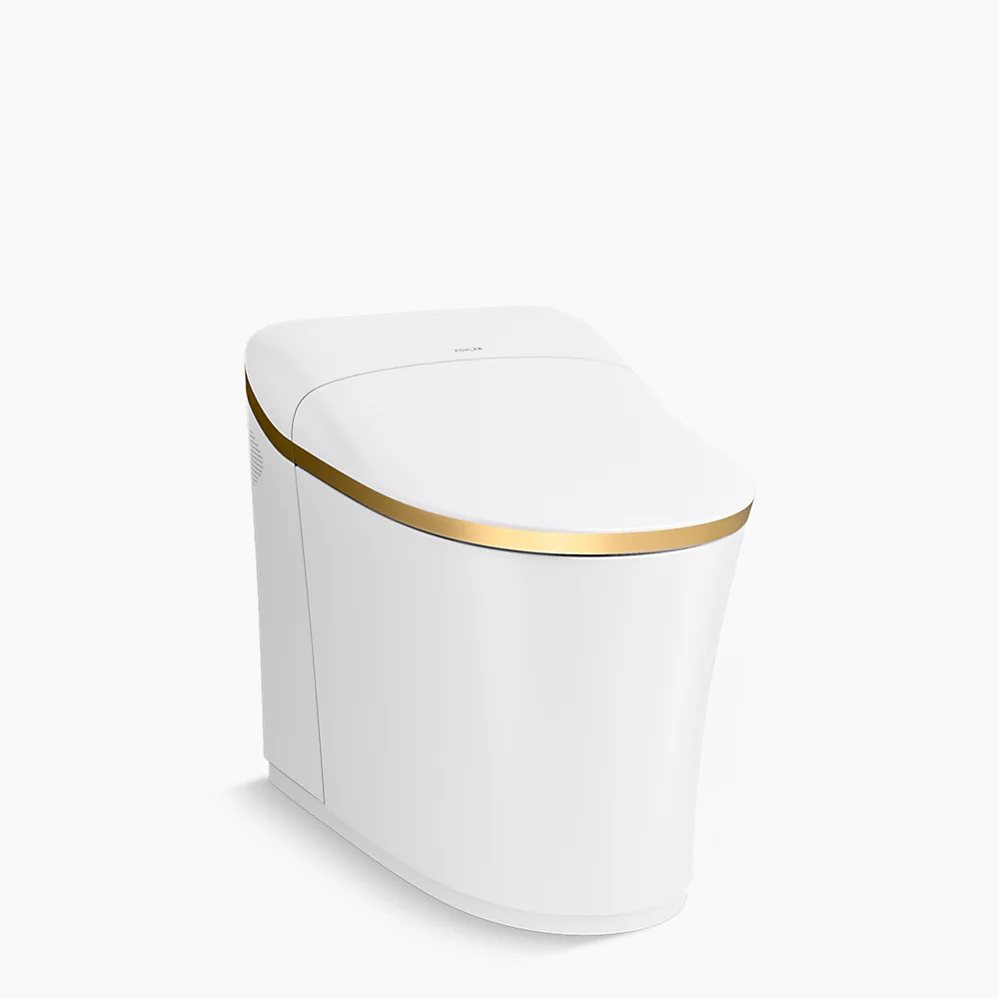 Online Designer Bathroom One-piece elongated smart toilet, dual-flush