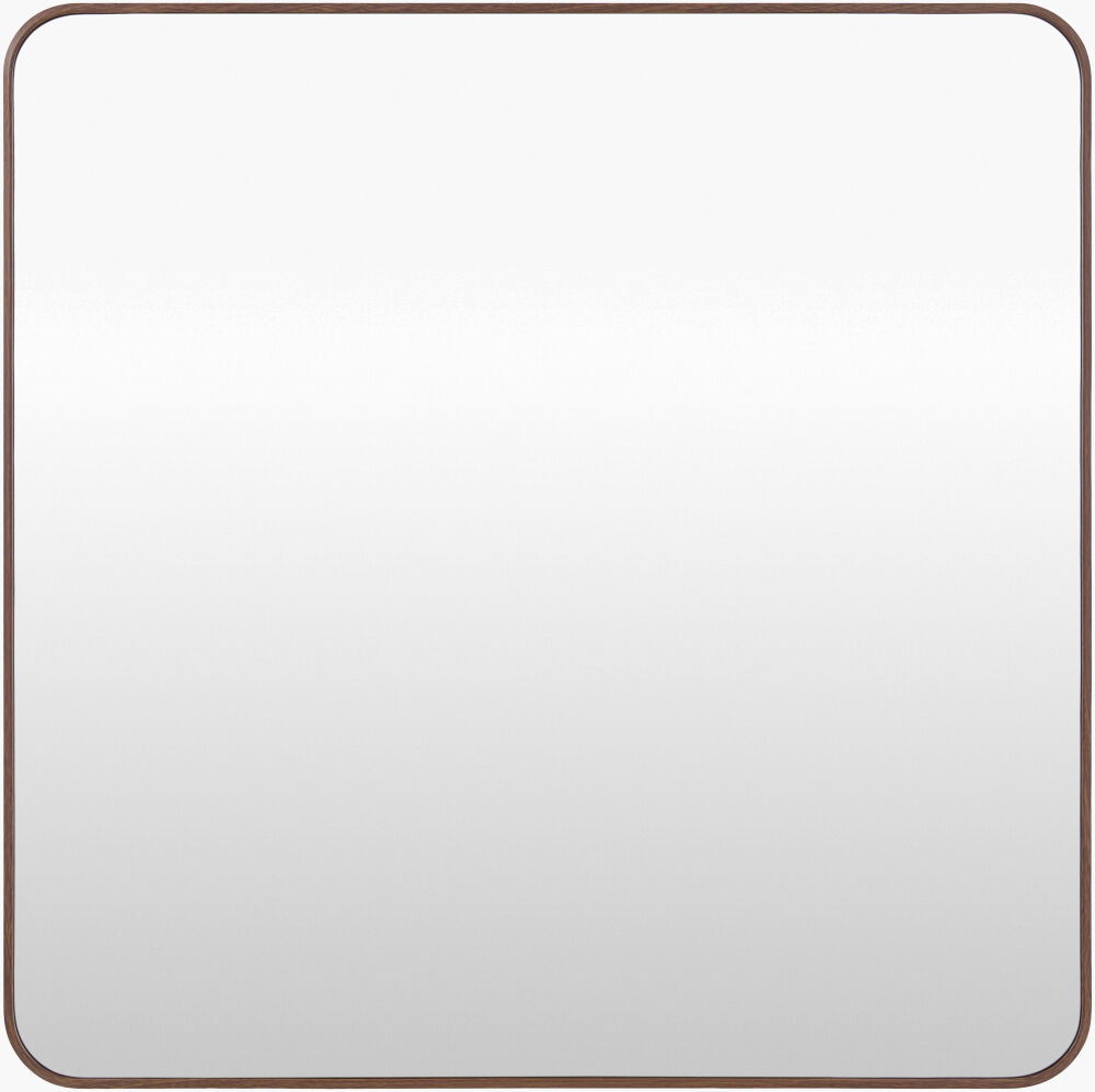 Aranya Accent Mirror large image 