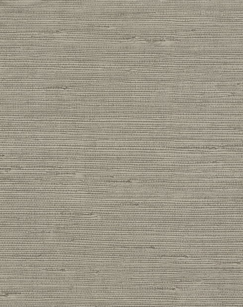 Pampas Brown Wallpaper