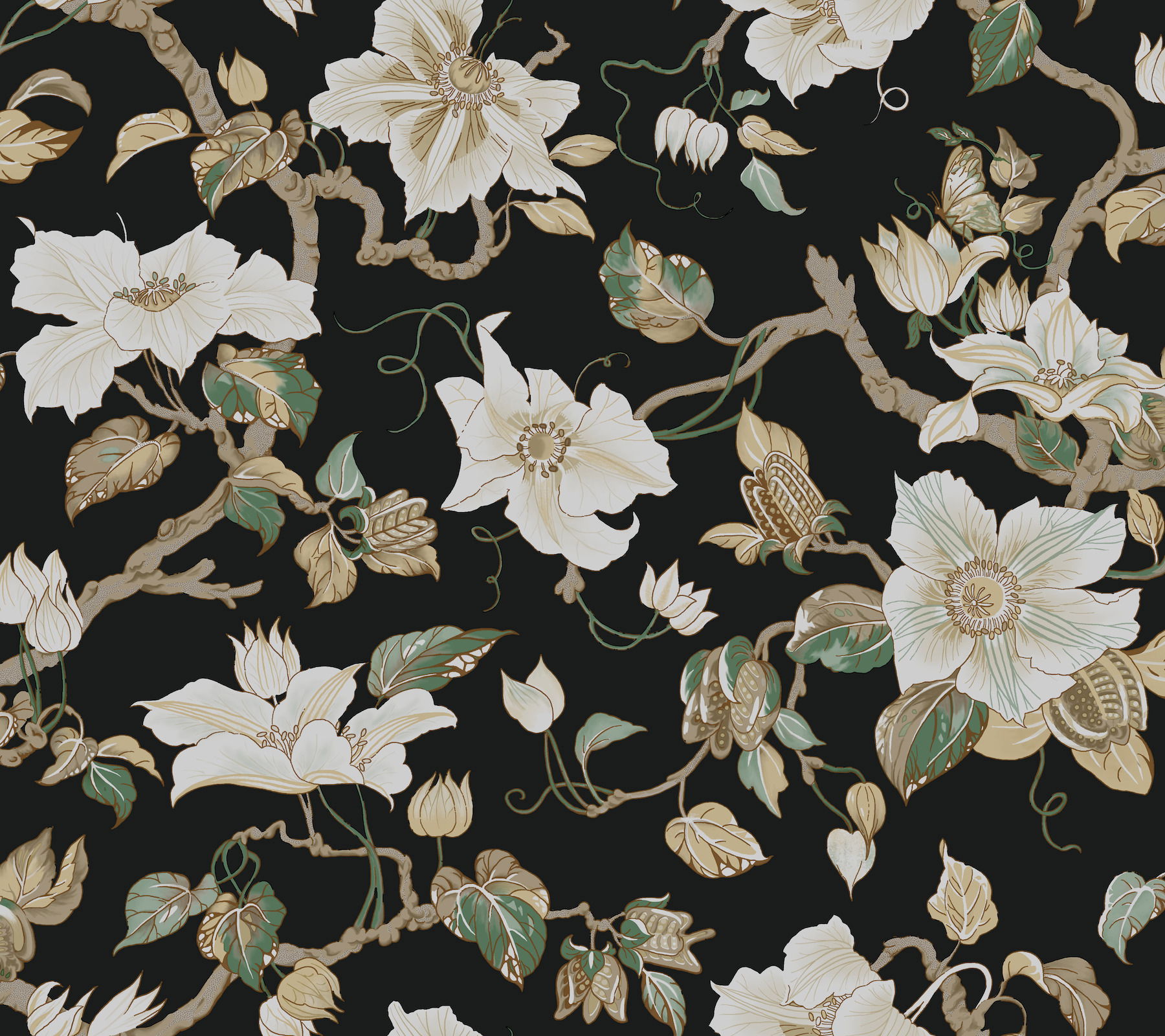 Marguerite Vine Black Wallpaper large image 