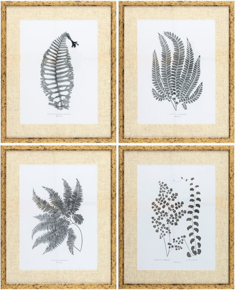 Ferne Framed Art, Painting by Surya, 17" width x 1" height