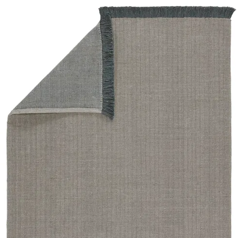 Engild Indoor/ Outdoor Solid Light Gray/ Dark Gray Area Rug (4