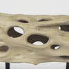 Dwell Cholla Wood Resin Decorative Object, by Mercana, 11.69" length x 5.91" width x 10.43" height thumbnail 9