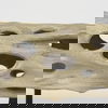 Dwell Cholla Wood Resin Decorative Object, by Mercana, 11.69" length x 5.91" width x 10.43" height thumbnail 9
