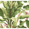 Banana Leaf Dark Brown & Pink Wallpaper, by York Wall, 27' length x 2'3" width x 0.02" depth thumbnail