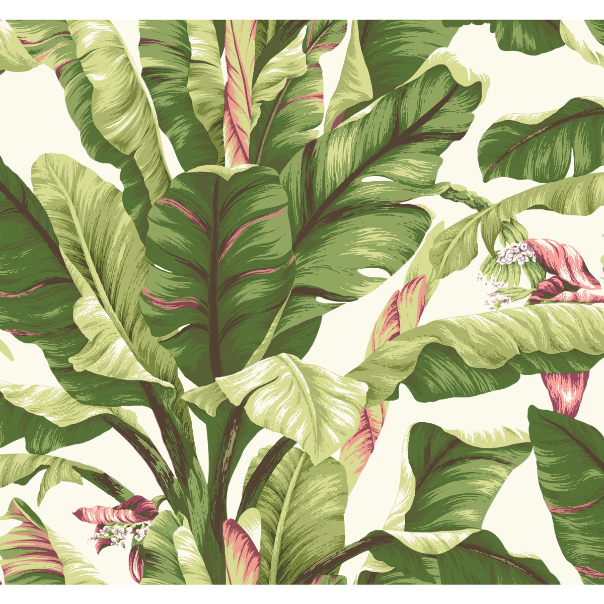 Banana Leaf Dark Brown & Pink Wallpaper, by York Wall, 27' length x 2'3" width x 0.02" depth