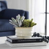 Mesa Succulent Accent, Artificial Plants & Flower by Uttermost, 9.5" width x 8.5" height x 9.5" depth thumbnail 3