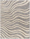 Hudson Shag Machine Woven Rug thumbnail 0