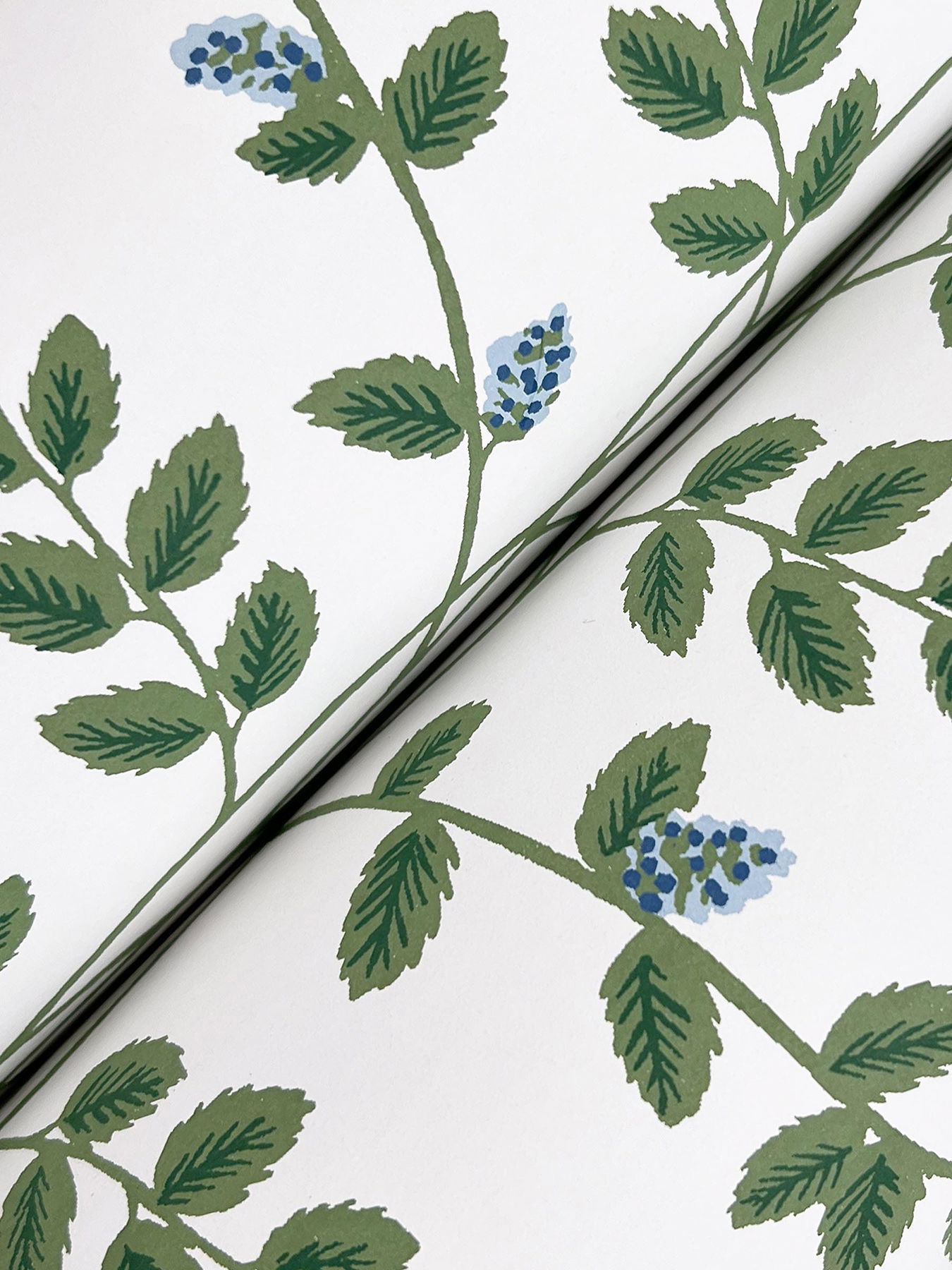 Climbing Vine Blue Wallpaper large image 