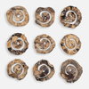 Corkscrew Wood Wall Decor Set/9, by Uttermost, 1'1.7" width x 1'1.7" height x 4.7" depth thumbnail 1