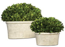 Online Designer Living Room Oval Domes Preserved Boxwood Set/2