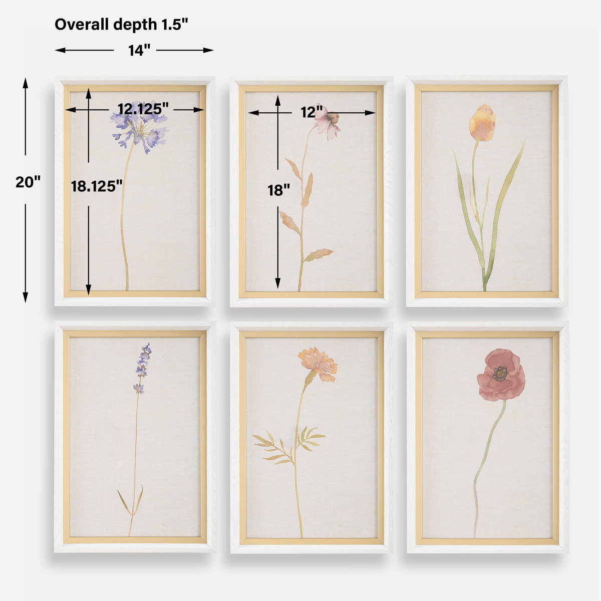 Wild Flourish Framed Floral Prints Set/6, Art by Uttermost, 14" width x 20" height x 1.5" depth View 3