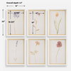 Wild Flourish Framed Floral Prints Set/6, Art by Uttermost, 14" width x 20" height x 1.5" depth thumbnail 3