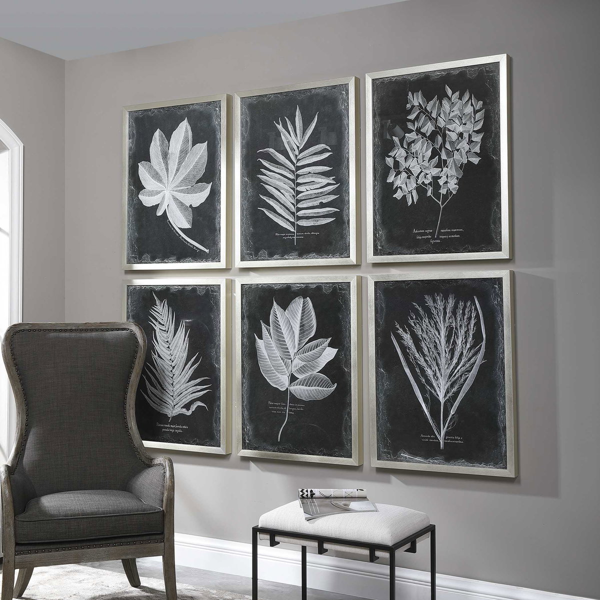 Foliage Framed Prints Set/6, Art by Uttermost, 25.75" width x 33.75" height x 2.25" depth View 4