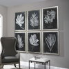Foliage Framed Prints Set/6, Art by Uttermost, 25.75" width x 33.75" height x 2.25" depth thumbnail 4