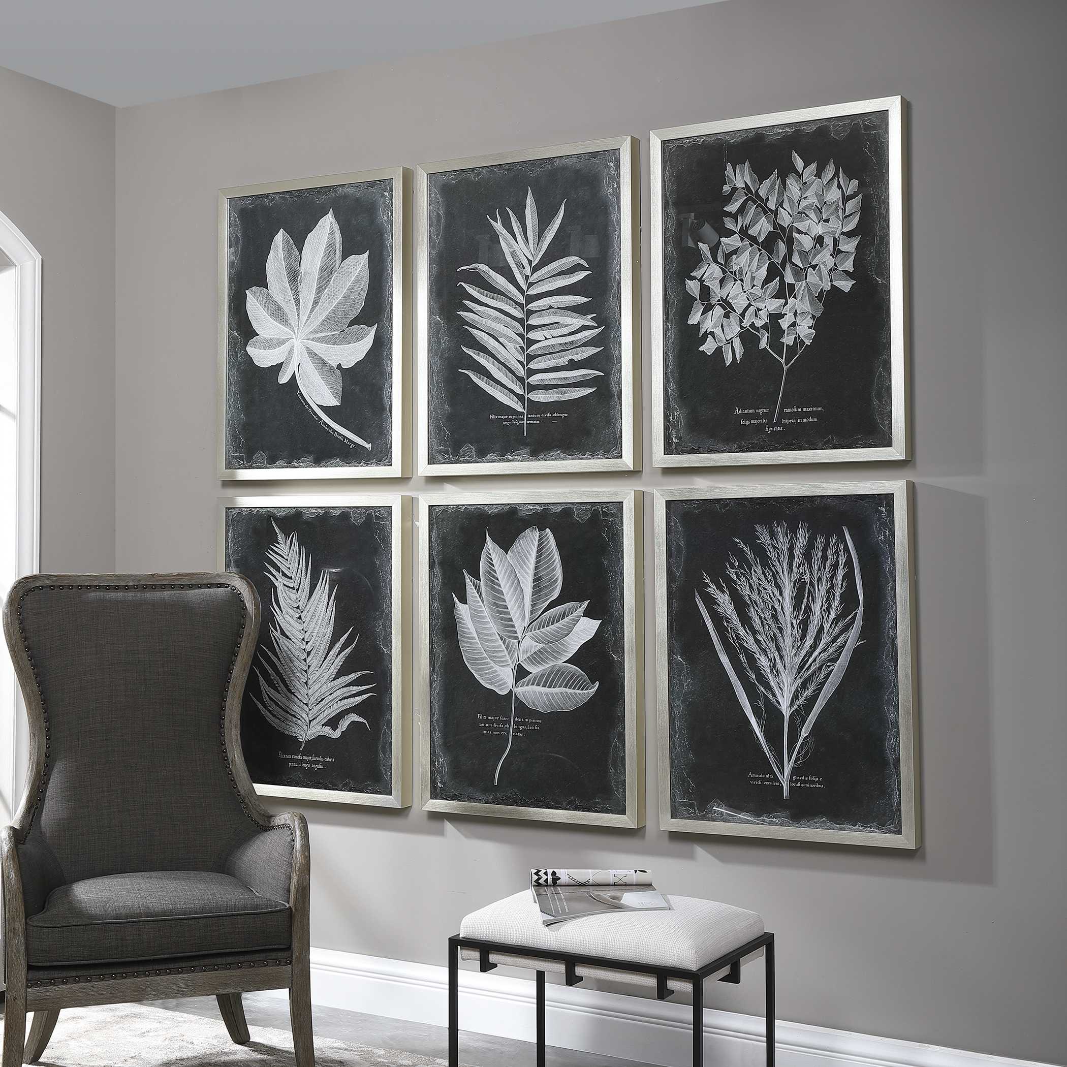 Foliage Framed Prints Set/6, Painting by Uttermost, 25.75" width x 33.75" height x 2.25" depth View 4