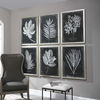 Foliage Framed Prints Set/6, Painting by Uttermost, 25.75" width x 33.75" height x 2.25" depth thumbnail 4