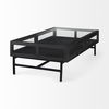 Arelius 42'L Rectangular Glass-Top Black-Brown Wood with Black Metal Base Display Coffee Table thumbnail 4
