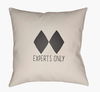 Black Diamond Accent Pillow, Decorative Pillow by Surya, 18" length x 18" width thumbnail