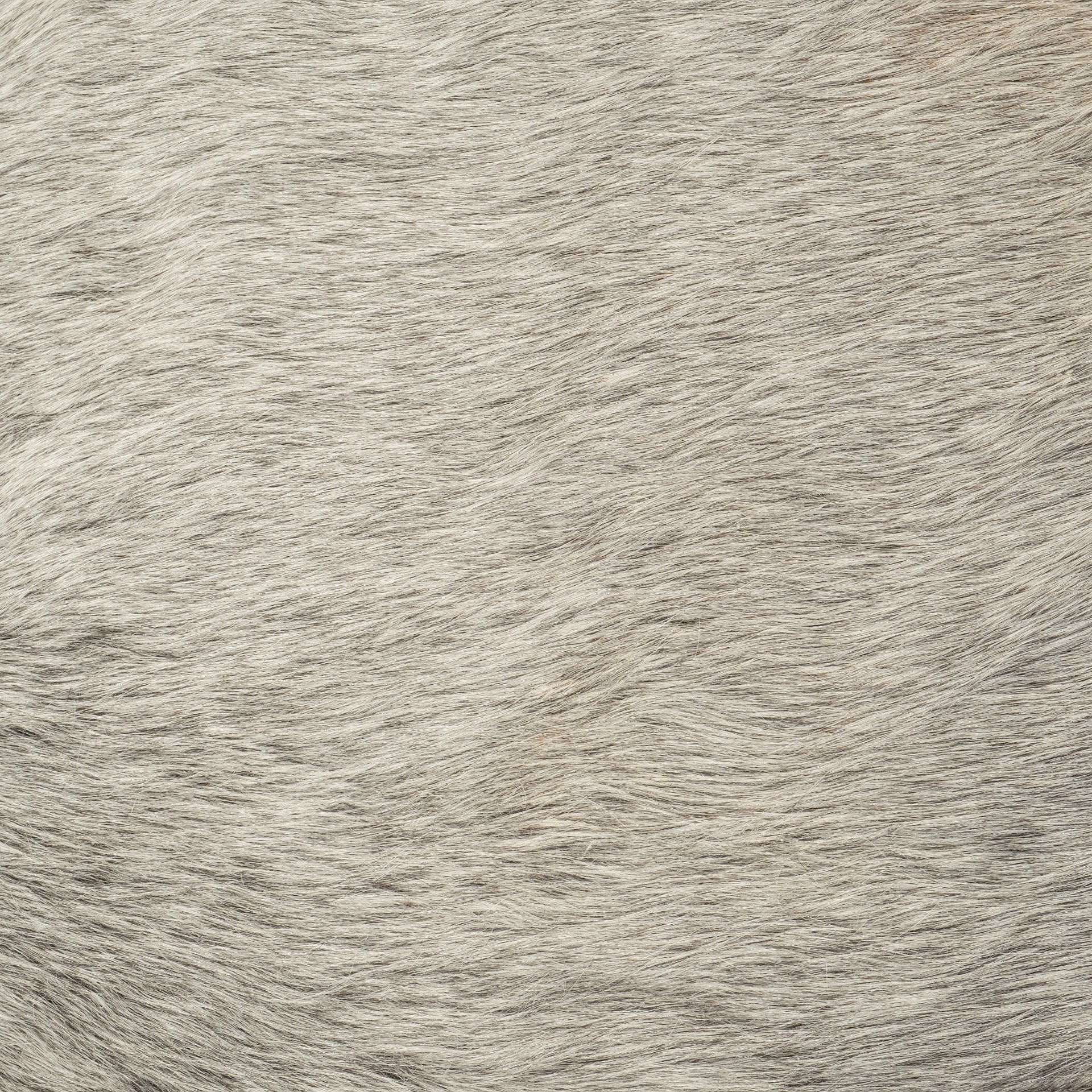 Jessie 55L x 16W White/Gray Hair-On-Hide Seat with Gold Metal Base Accent Bench, Benche by Mercana, 55" length x 16" width x 20" height View 5