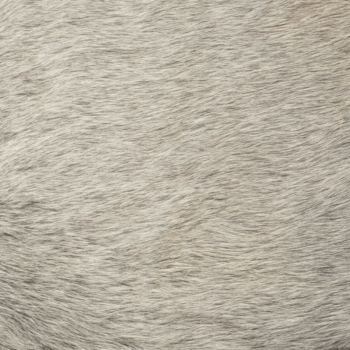 Jessie 55L x 16W White/Gray Hair-On-Hide Seat with Gold Metal Base Accent Bench, Benche by Mercana, 55" length x 16" width x 20" height View 5