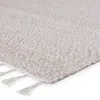 Jaipur Living Adria Indoor/ Outdoor Solid Cream/ Gray Area Rug 9'X12' thumbnail 2