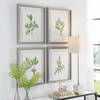 Wildflower Study Framed Prints Set/4, Art by Uttermost, 19" width x 22" height x 1.75" depth thumbnail 4