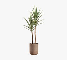 Online Designer Bathroom Faux Yucca Tree In Cement Pot