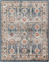 Davaro Machine Woven Rug, by Surya, 10'0.08" length x 7'10.49" width thumbnail