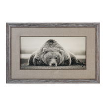 Online Designer Combined Living/Dining Deep Sleep Bear Print