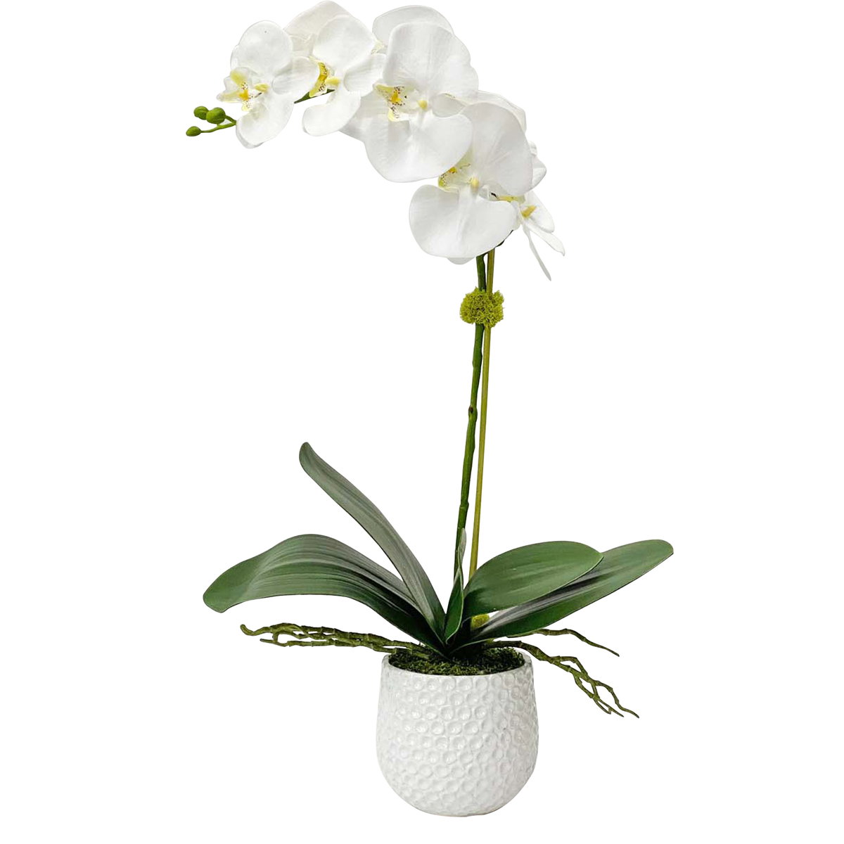 Cami White Orchid, Decorative by Uttermost, 14" width x 24" height x 8" depth View 1