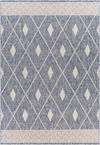 Tuareg Machine Woven Rug thumbnail 0