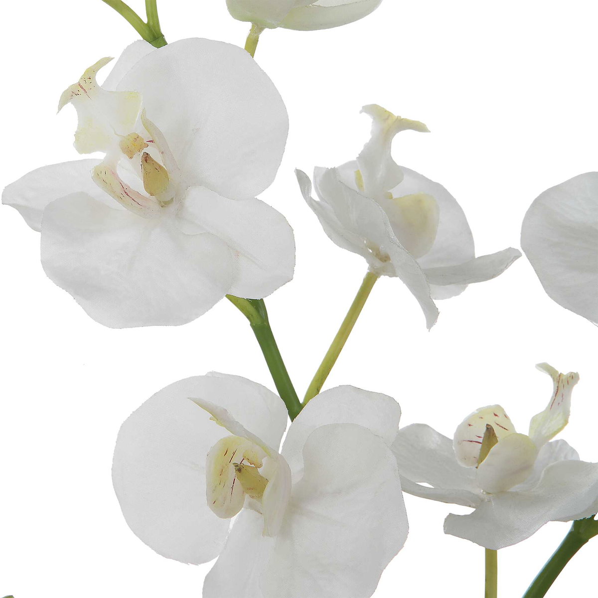 Glory Orchid, Artificial Plants & Flower by Uttermost, 11.25" width x 13" height x 5.25" depth View 4