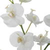 Glory Orchid, Artificial Plants & Flower by Uttermost, 11.25" width x 13" height x 5.25" depth thumbnail 4