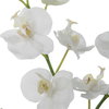 Glory Orchid, Artificial Plants & Flower by Uttermost, 11.25" width x 13" height x 5.25" depth thumbnail 4