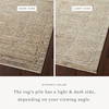 Loloi Sonnet Rug, 5' length x 7'10" width thumbnail 2