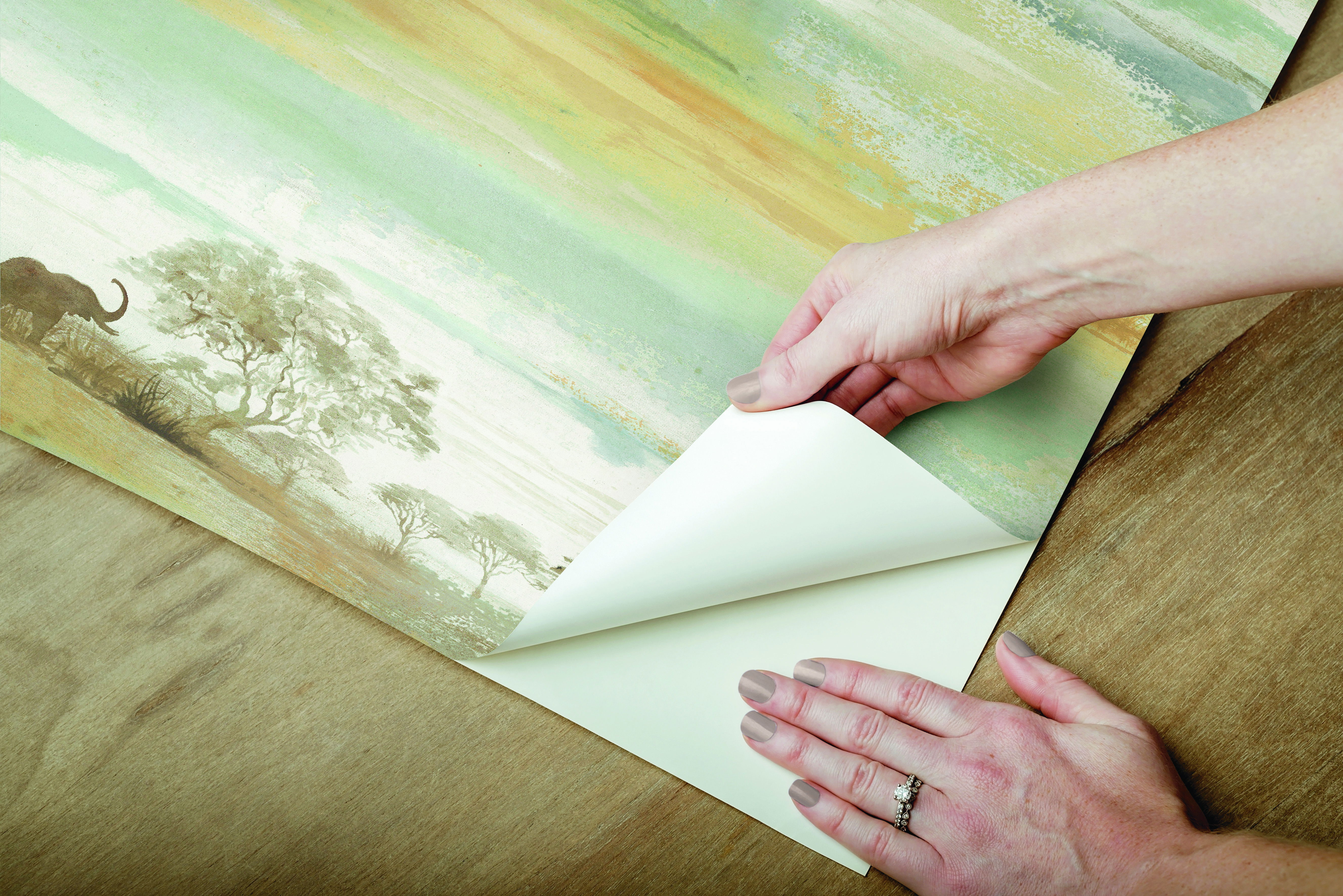 Savanna Sunset Beige Peel & Stick Wallpaper large image 