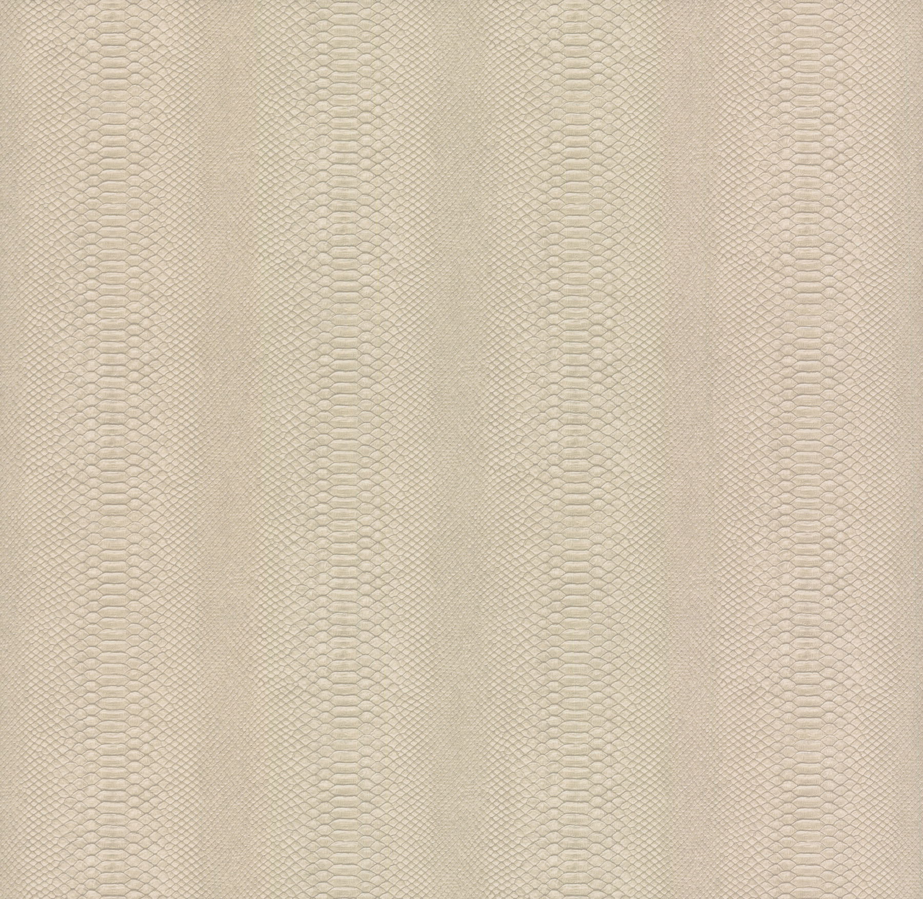 Cobra Beige Wallpaper large image 