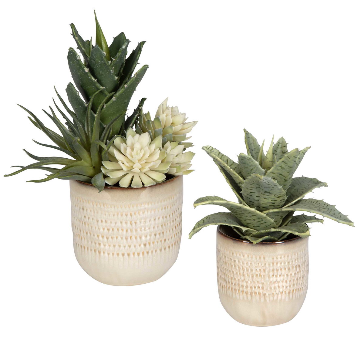 Seaside Succulents Set/2, Artificial Plants & Flower by Uttermost, 9" width x 12" height x 7" depth View 3