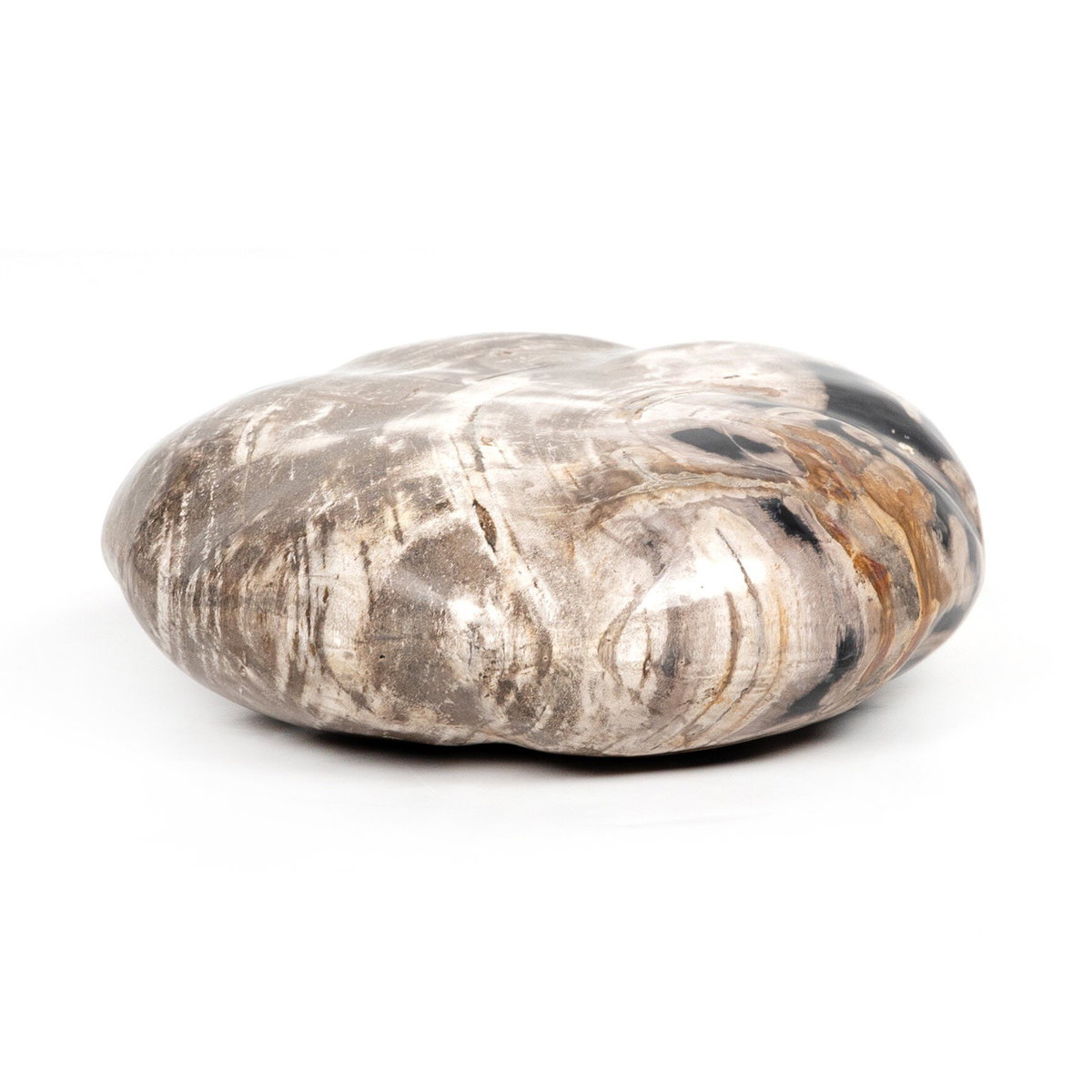Petrified Wood Organic Sculpture, Set Of 3, Decorative Object by Four Hands, 9.75" width x 8.75" height x 9.75" depth View 8