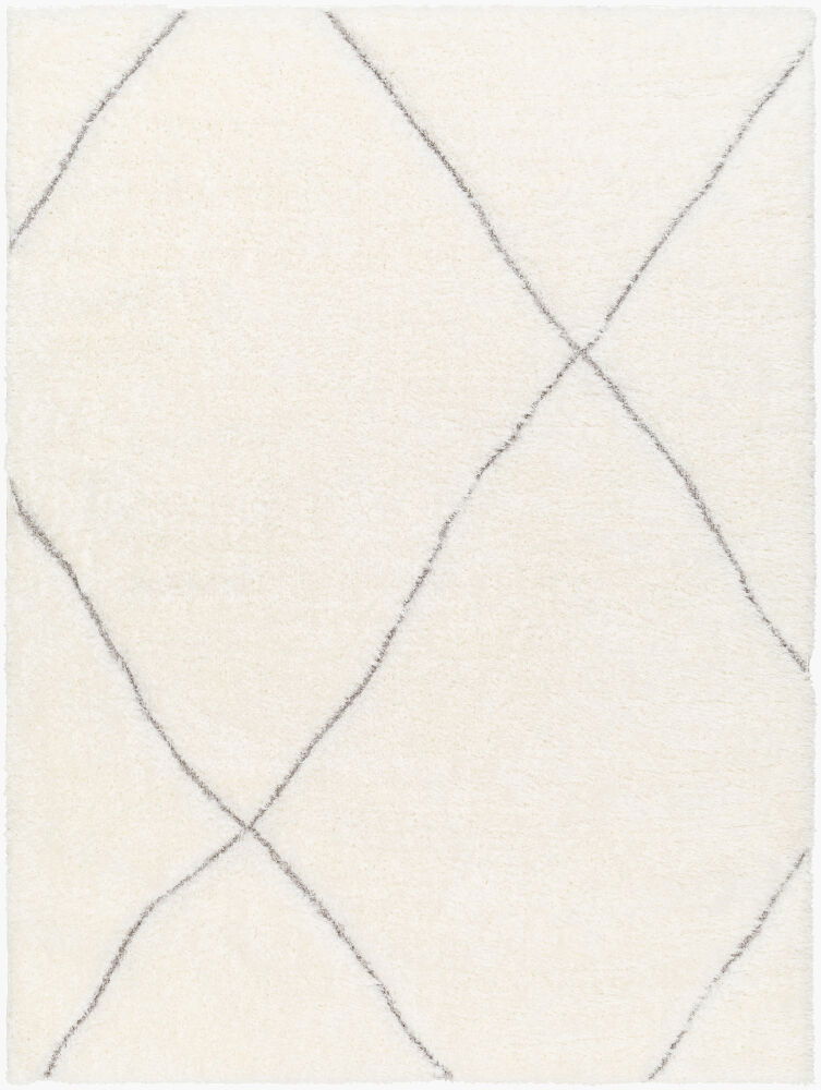 Bologna Machine Woven Rug large image 